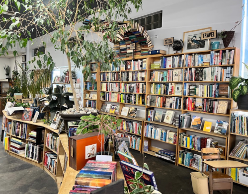 A cozy bookstore with wooden shelves filled with books, plants, and a travel-themed decor.