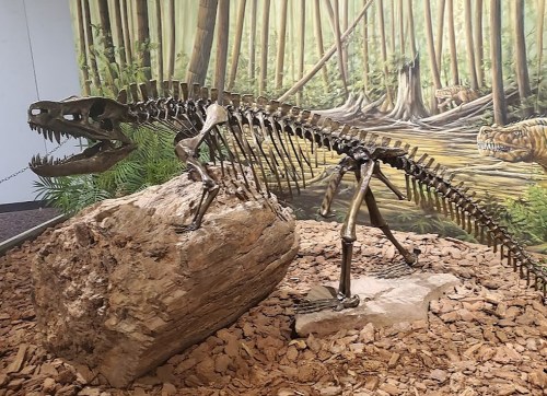 A dinosaur skeleton displayed on a rock, with a lush prehistoric forest mural in the background.