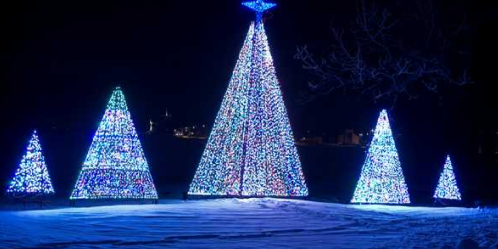 Colorful illuminated Christmas trees in a snowy landscape at night.
