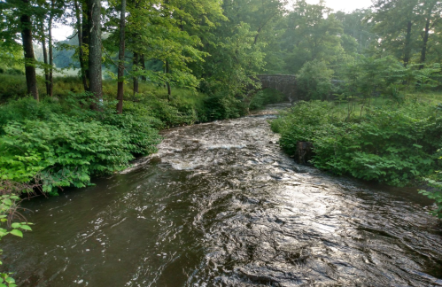 A winding river flows through a lush green landscape, surrounded by trees and foliage.