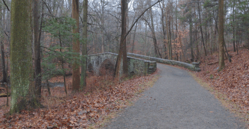 A winding path leads to a stone bridge surrounded by bare trees and fallen leaves in a misty forest.