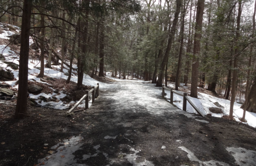 A snowy path winding through a forest, flanked by trees and patches of ice, creating a serene winter scene.