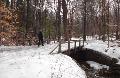 A person walks along a snowy path beside a stream, crossing a wooden bridge in a winter forest.