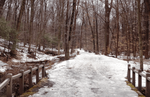 A snowy path winding through a forest with bare trees and a wooden railing on either side.