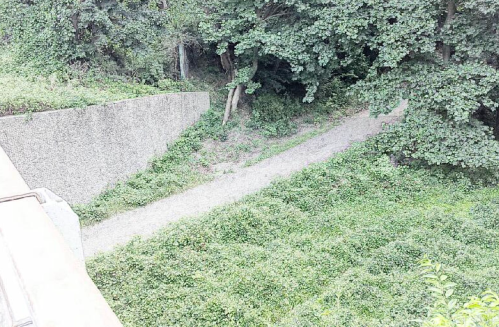 A narrow dirt path winds through dense greenery, bordered by a concrete wall and trees in the background.
