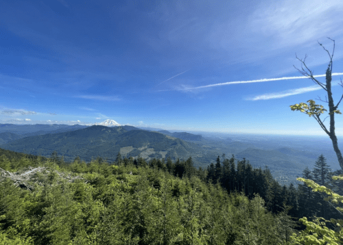 A panoramic view of lush green mountains under a clear blue sky, with distant snow-capped peaks visible.