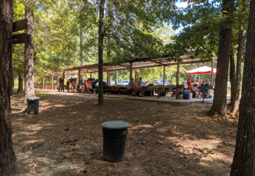 A shaded outdoor gathering area with people seated at tables, surrounded by trees and a few trash bins.
