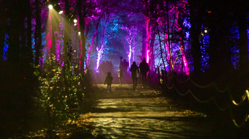 A dimly lit forest path with colorful lights illuminating trees, featuring silhouettes of people walking.