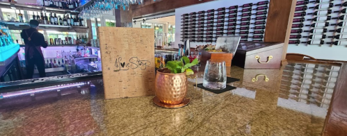 A stylish bar with a menu on the counter, a plant in a copper pot, and shelves of wine bottles in the background.