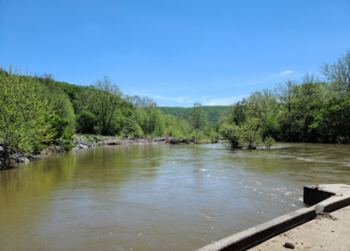 A calm river flows through a lush green landscape under a clear blue sky.