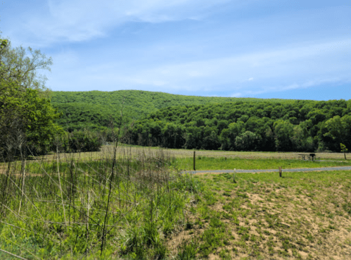 A scenic view of a green hillside under a clear blue sky, with a dirt path and sparse vegetation in the foreground.