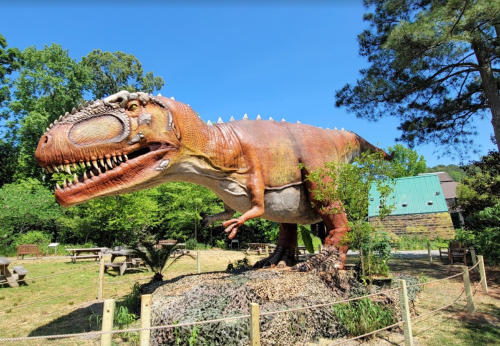 A large, realistic dinosaur statue in a green park, surrounded by trees and picnic tables under a clear blue sky.