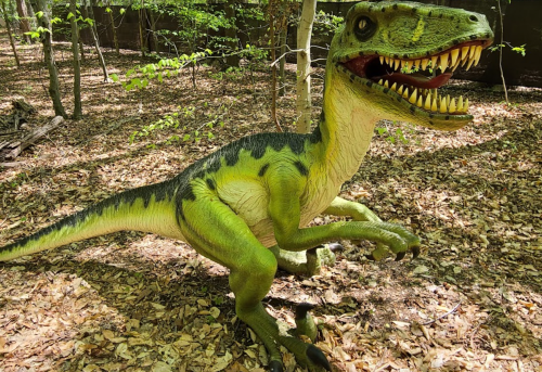 A lifelike dinosaur model with sharp teeth and green scales, positioned in a forested area with fallen leaves.