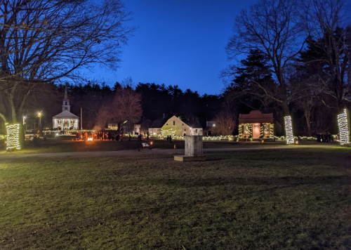 A serene night scene of a park with trees and buildings illuminated by festive lights against a deep blue sky.