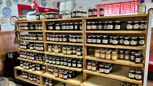 Wooden shelves filled with various jars of preserves and jams, displayed in a cozy shop with decorative plates on the wall.
