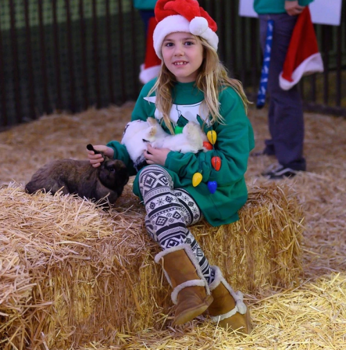 A girl in a Santa hat sits on hay, holding two rabbits, wearing a festive sweater and patterned leggings.