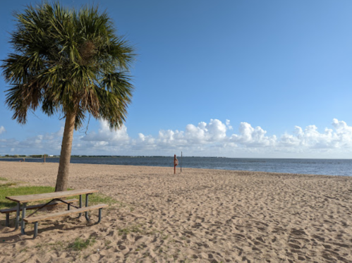 A sandy beach with a palm tree and a picnic table, overlooking calm waters and a clear blue sky.
