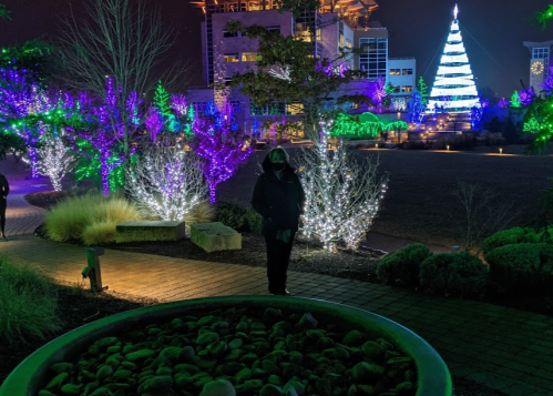 A person in a dark coat stands near a lit garden with colorful holiday lights and a large tree in the background.