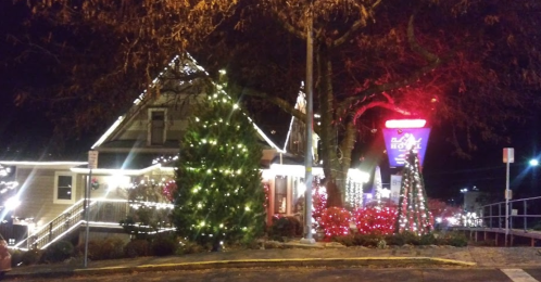 A festive scene at night featuring a house and trees adorned with colorful Christmas lights.