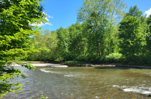 A serene river flows through a lush green landscape under a clear blue sky.