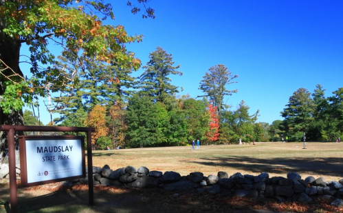 A sunny day at Maudslay State Park, featuring green trees and a clear blue sky, with people enjoying the open space.