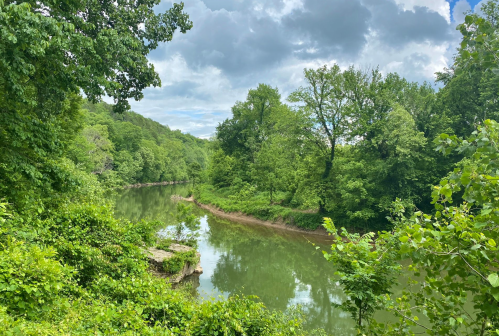 A serene river winding through lush green trees under a partly cloudy sky.