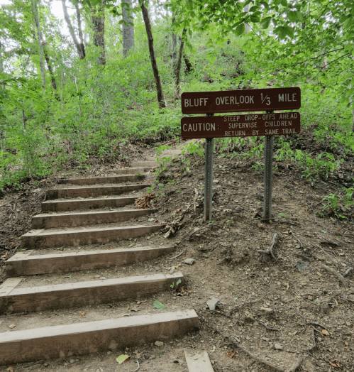 A wooden staircase leads up a wooded trail, with a sign indicating a bluff overlook is ⅓ mile ahead.