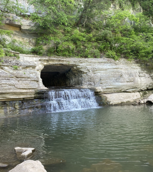A serene waterfall cascades from a rocky cave into a calm, greenish pool surrounded by lush vegetation.
