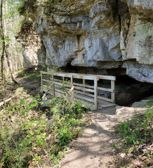 A wooden bridge leads to a rocky overhang in a lush, green forest setting.