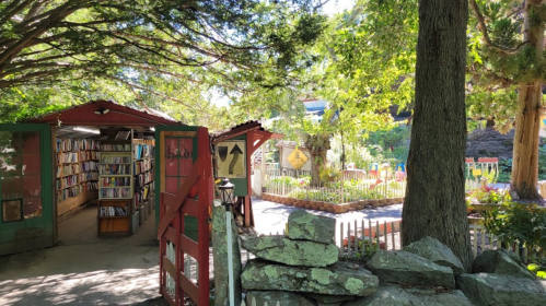 A quaint outdoor library surrounded by trees, with a garden and colorful seating areas visible in the background.