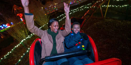 A woman and a child joyfully ride a roller coaster, hands raised, surrounded by colorful holiday lights.