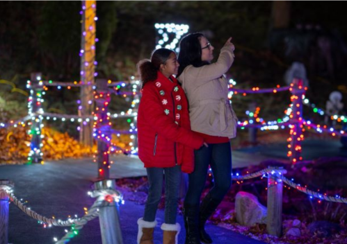 A woman and a girl admire colorful holiday lights while walking along a path in a festive outdoor setting.