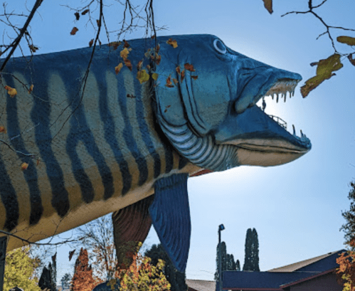 A large, colorful fish sculpture with a wide mouth and sharp teeth, set against a clear blue sky.