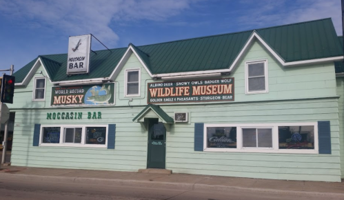 A green building with signs for Moccasin Bar and Wildlife Museum, featuring a world record musky display.