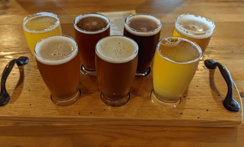 A wooden flight board holds eight small glasses of various beers, showcasing different colors and styles.