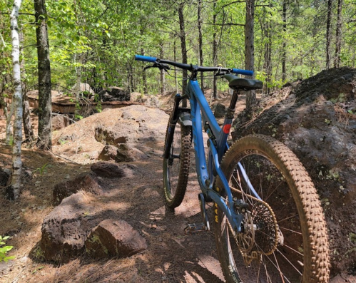 A blue mountain bike parked on a rocky trail surrounded by trees and greenery.