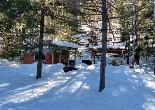 Two small cabins surrounded by snow-covered trees in a winter landscape.