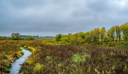 A serene landscape featuring a winding stream surrounded by autumn foliage and overcast skies.