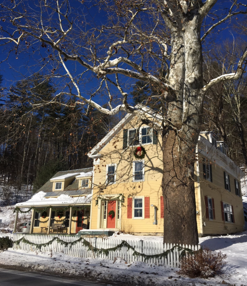 A yellow house with a red door and wreath, surrounded by snow and a large tree, under a clear blue sky.