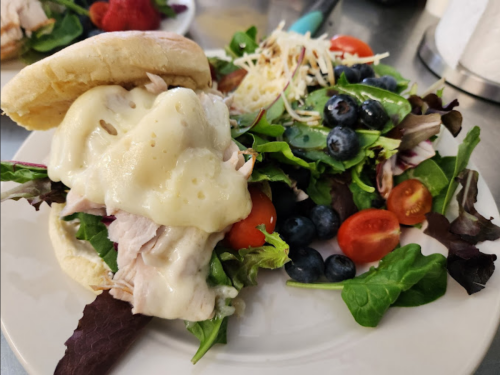 A plate with a sandwich filled with turkey and melted cheese, alongside a fresh salad with greens, tomatoes, and blueberries.