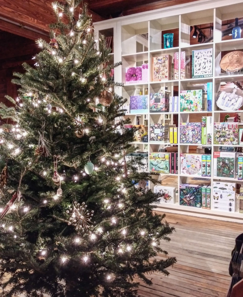 A decorated Christmas tree with lights in front of a colorful bookshelf filled with various items.