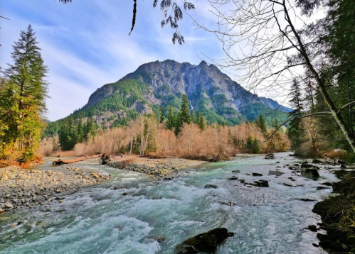 A serene river flows through a forested landscape, with a majestic mountain rising in the background under a clear sky.