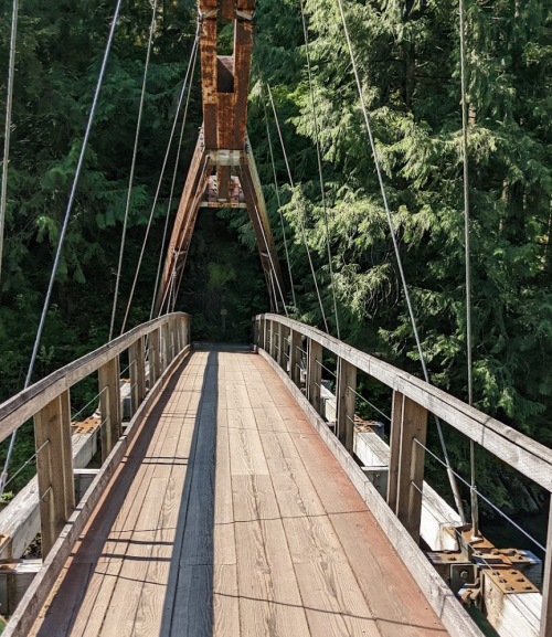 A wooden suspension bridge surrounded by lush green trees, leading into a shaded path.