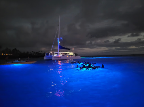 A catamaran illuminated by blue lights in a dark ocean, with dolphins swimming nearby under a cloudy sky.