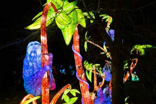 Colorful illuminated sloth climbing a vibrant, glowing tree surrounded by bright foliage at a nighttime event.
