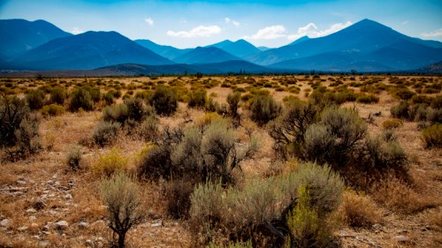 A vast, arid landscape with shrubs and mountains under a blue sky with scattered clouds.