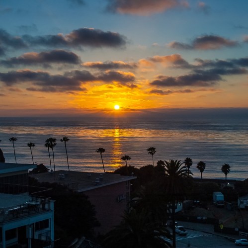 A vibrant sunset over the ocean, with palm trees silhouetted against the colorful sky and calm water.