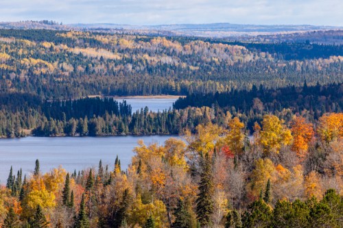 A scenic view of a forested landscape with vibrant autumn foliage and a calm lake in the background.