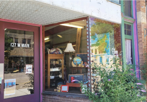 A storefront window displaying various items, including a lamp and a globe, with plants in the foreground.