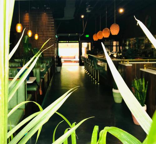A view of a restaurant interior through green plants, featuring a bar and warm pendant lights.